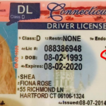 An adorable platform to obtain the best scannable driving licenses