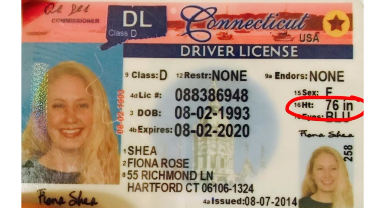 An adorable platform to obtain the best scannable driving licenses
